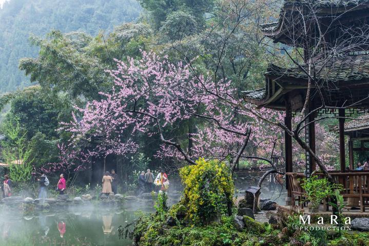 好委屈啊。。。。长那么丑知识星球平台,打开知识的大门